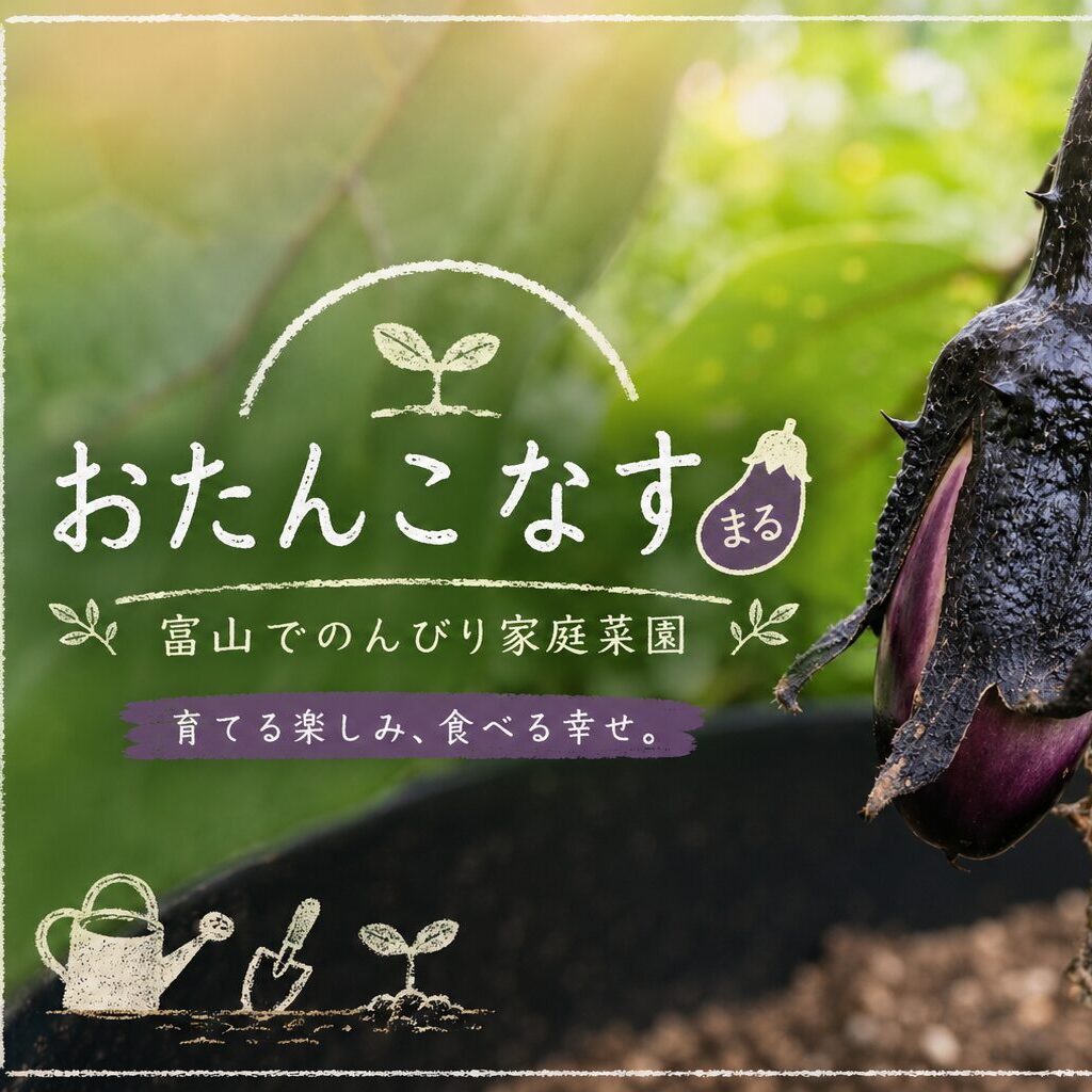 おたんこなす まるの趣味