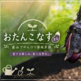おたんこなす まるの趣味
