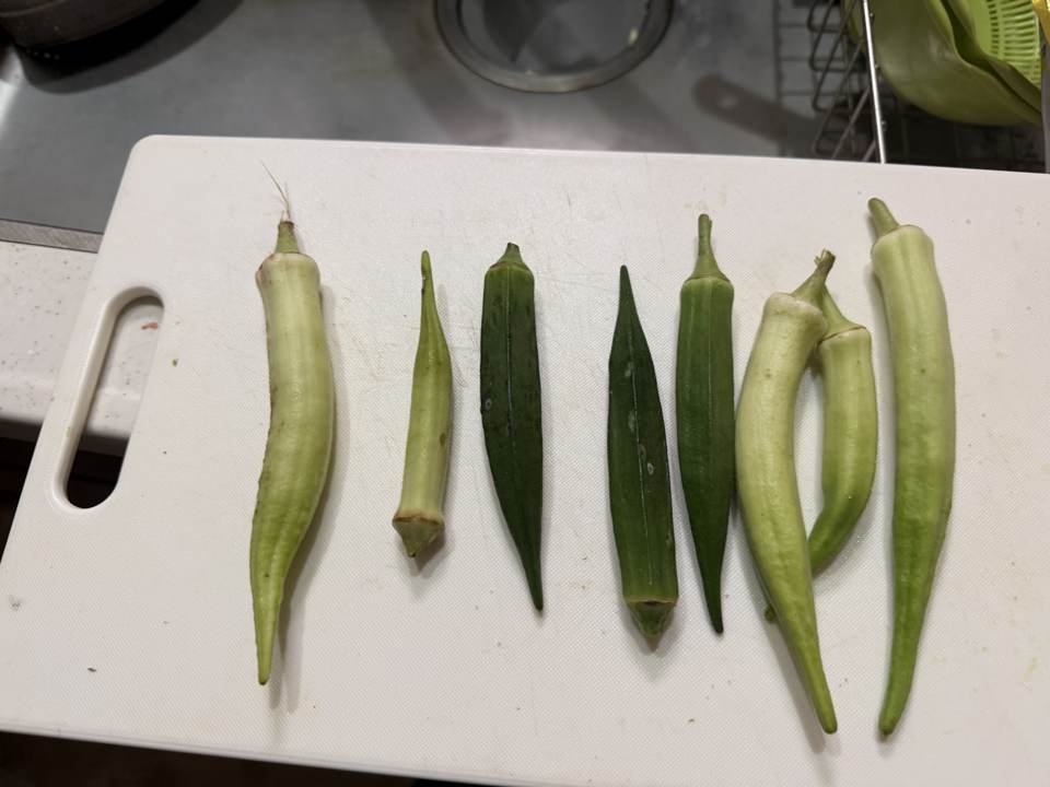 まな板に並べた色や形の異なるオクラ